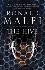 The Hive 