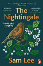 レア洋書絵本The Nightingale Hamlyn ILLUSTRATED Hans Christian Andersen's the Nightingale: Hans Christian Andersen