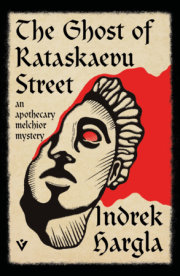 The Ghost of Rataskaevu Street 
