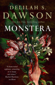 Monstera 