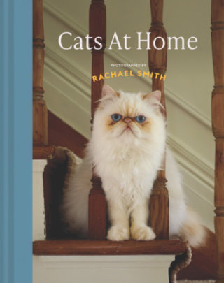 Cats at Home - Author Rachael Smith