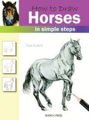 How to Draw Horses in Simple Steps 