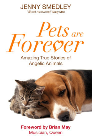 Pets are Forever by Jenny Smedley: 9781848505681 :  Books