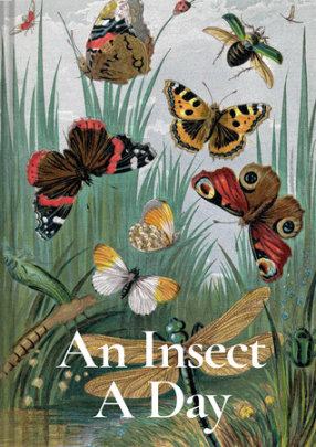 An Insect a Day - Author Dominic Couzens and Gail Ashton