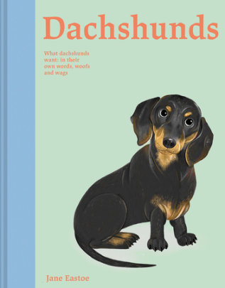 Dachshunds - Author Jane Eastoe, Illustrated by Meredith Jensen