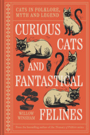 Curious Cats and Fantastical Felines 