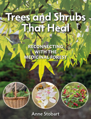 Trees and Shrubs that Heal - Author Anne Stobart