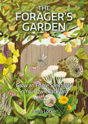 The Forager's Garden 