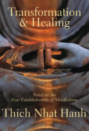 Transformation and Healing 