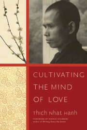 Cultivating the Mind of Love 