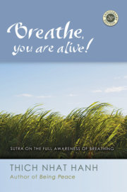 Breathe, You Are Alive 