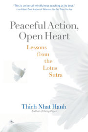 Peaceful Action, Open Heart 