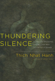 Thundering Silence 