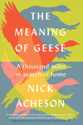 The Meaning of Geese - Author Nick Acheson