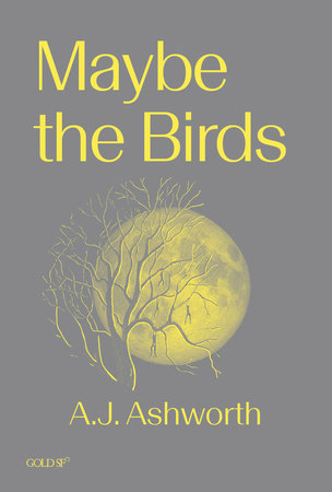 Maybe the Birds