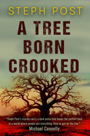 A Tree Born Crooked 