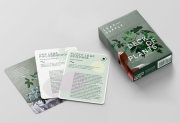 Leaf Supply Deck of Plants 