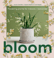 Bloom 