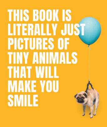 This Book Is Literally Just Pictures of Tiny Animals That Will Make You Smile - Author Smith Street Books