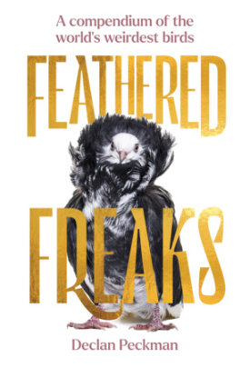 Feathered Freaks - Author Declan Peckman