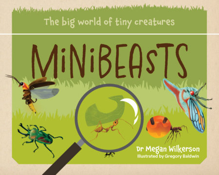 Minibeasts