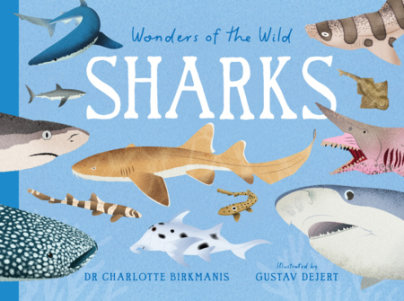 Wonders of the Wild: Sharks - Author Dr. Charlotte Birkmanis, Illustrated by Gustav Dejert