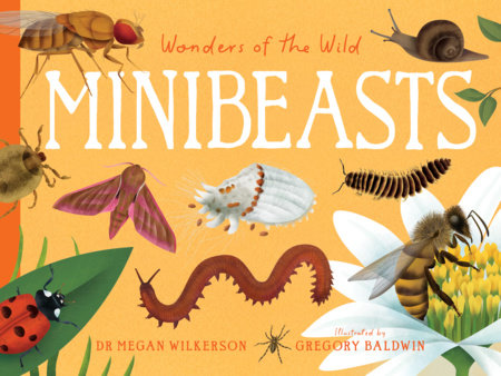 Wonders of the Wild: Minibeasts