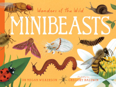 Wonders of the Wild: Minibeasts - Author Dr. Megan Wilkerson, Illustrated by Gregory Baldwin
