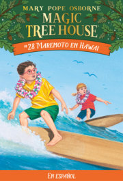 Maremoto en Hawai / High Tide in Hawaii 