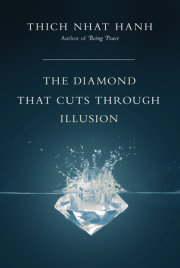 The Diamond That Cuts Through Illusion 