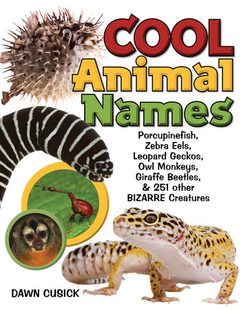 Cool Animal Names by Dawn Cusick: 9781936140398 :  Books