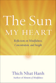 The Sun My Heart 