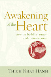 Awakening of the Heart 