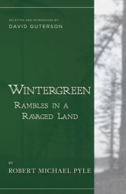 Wintergreen 
