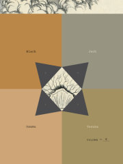 Black Jack, Volume 6 