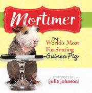 Mortimer, World's Most Fascinating Guinea Pig 