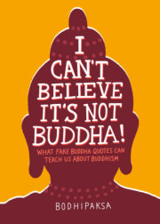 I Can't Believe It's Not Buddha! 