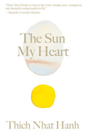 The Sun My Heart 