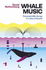 Whale Music 