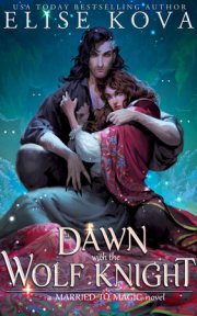 A Dawn with the Wolf Knight 