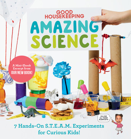 the steam experiment