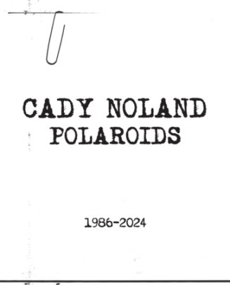 Cady Noland - Author Cady Noland