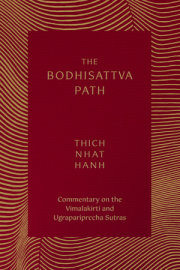 The Bodhisattva Path EBOOK