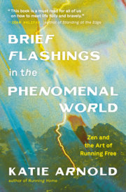 Brief Flashings in the Phenomenal World 