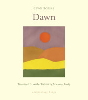 Dawn 