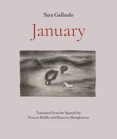 January by Sara Gallardo: 9781953861641 | PenguinRandomHouse.com: Books