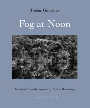 Fog at Noon 