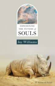 Concerning the Future of Souls 