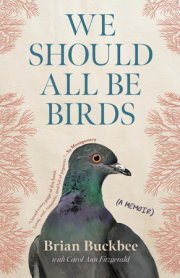 We Should All Be Birds 