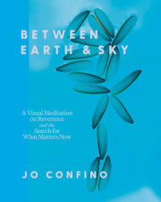 Between Earth and Sky 